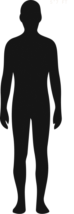 Human silhouette, 5 feet 7 inches, for scale